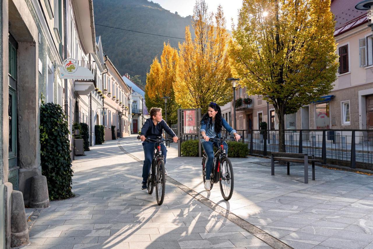 Dvorec Trebnik - Sobe Slovenske Konjice Bagian luar foto