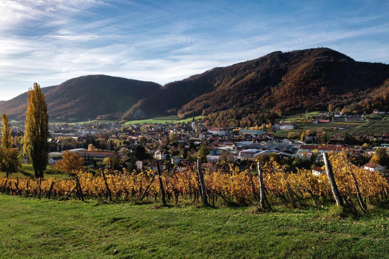 Dvorec Trebnik - Sobe Slovenske Konjice Bagian luar foto
