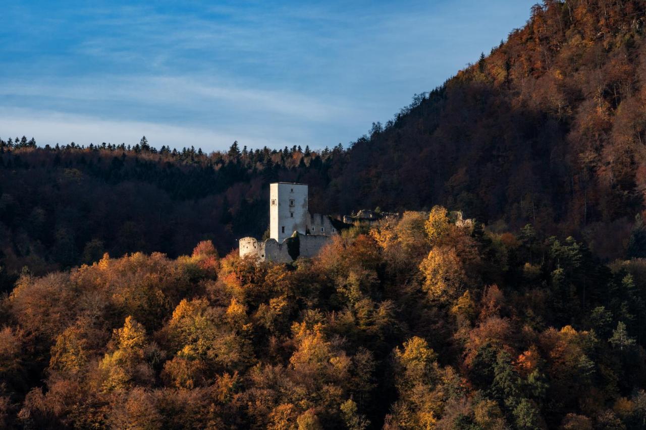 Dvorec Trebnik - Sobe Slovenske Konjice Bagian luar foto
