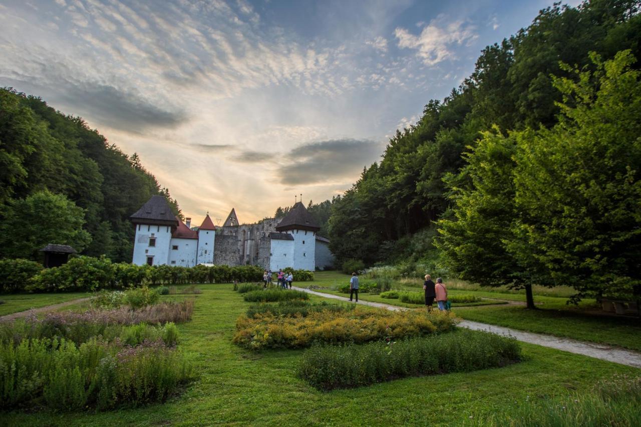 Dvorec Trebnik - Sobe Slovenske Konjice Bagian luar foto